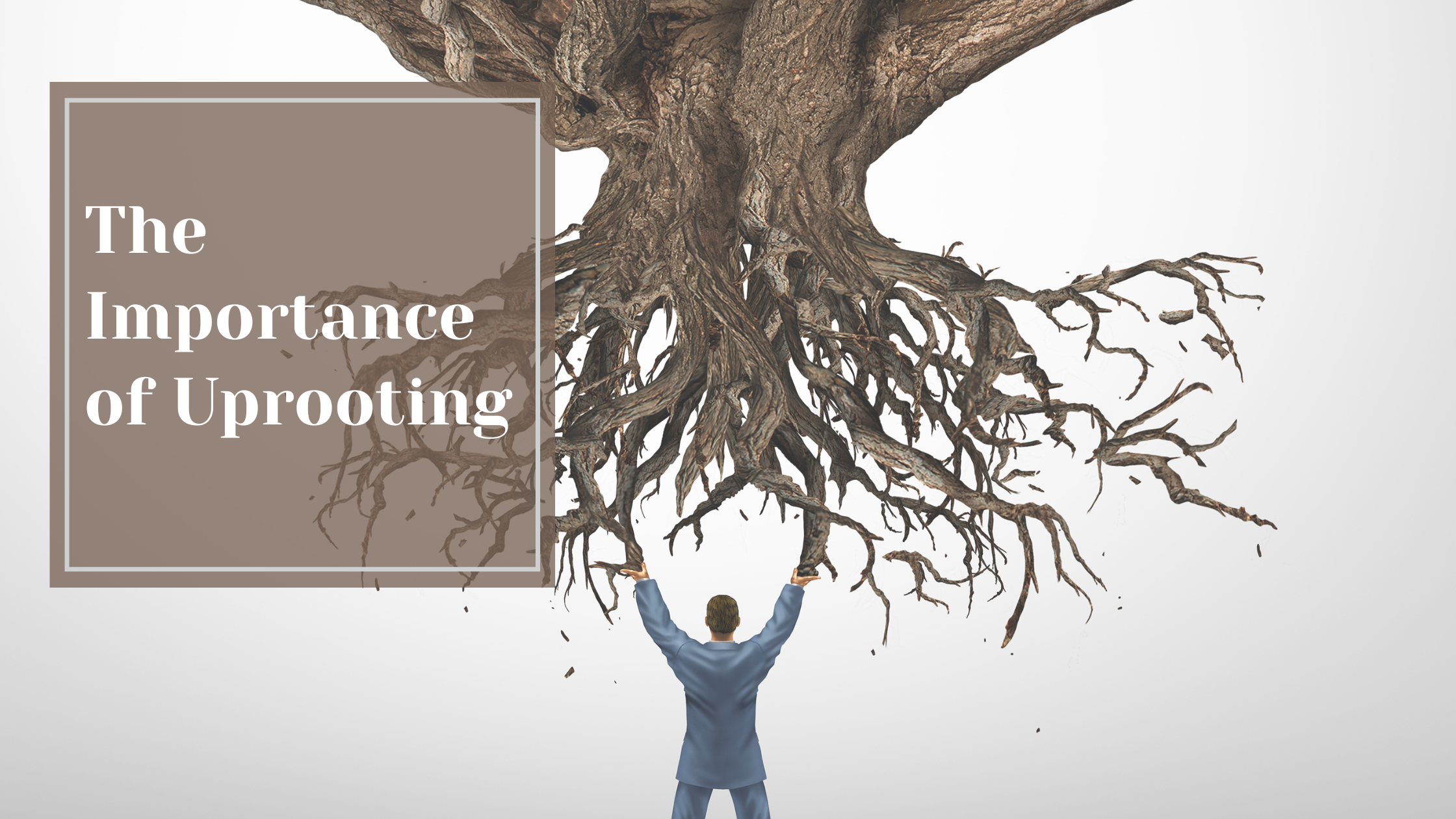 The Importance of Uprooting